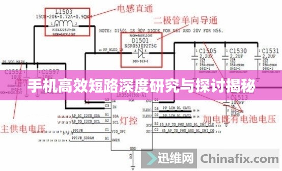鸟语蝉鸣