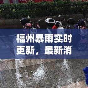 福州暴雨实时更新，最新消息与天气预警