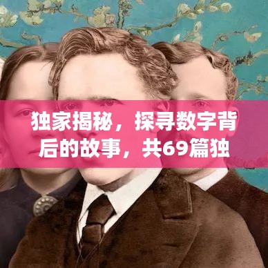 独家揭秘，探寻数字背后的故事，共69篇独特篇章揭秘番外