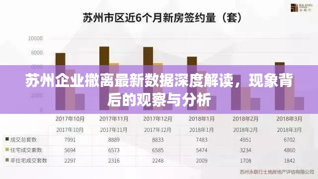苏州企业撤离最新数据深度解读，现象背后的观察与分析