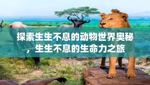 探索生生不息的动物世界奥秘，生生不息的生命力之旅