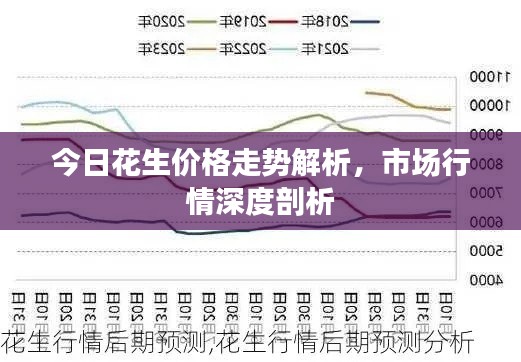 今日花生价格走势解析，市场行情深度剖析