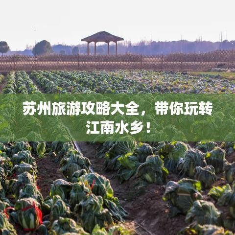 苏州旅游攻略大全，带你玩转江南水乡！