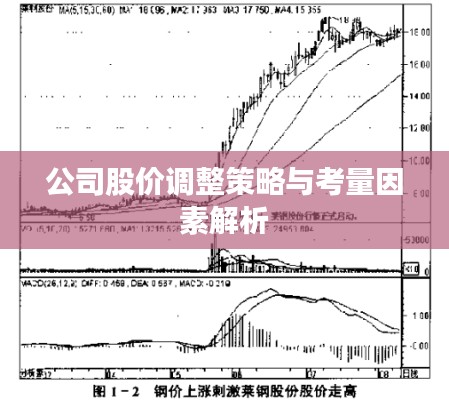 公司股价调整策略与考量因素解析