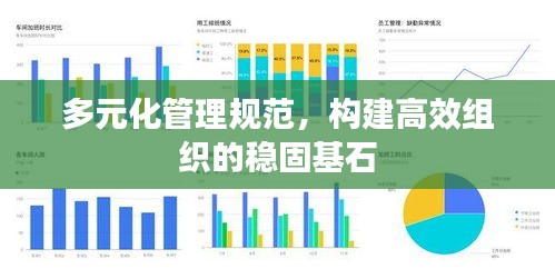 多元化管理规范，构建高效组织的稳固基石