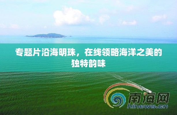 专题片沿海明珠，在线领略海洋之美的独特韵味