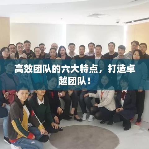 高效团队的六大特点，打造卓越团队！