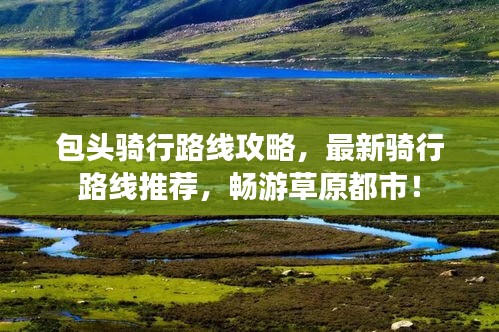 飞扬拨扈