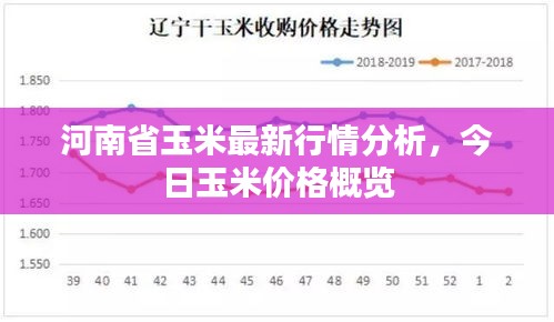 秀外慧中