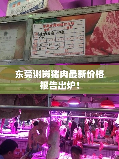 2025年5月 第65页