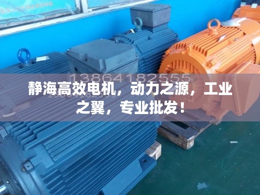 张王李赵
