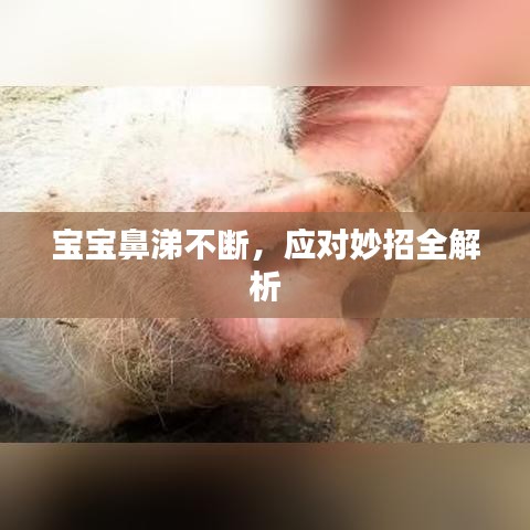 2025年5月15日 第5页