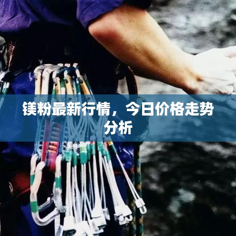 2025年5月15日 第3页