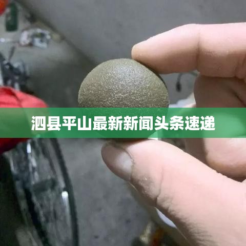 2025年5月16日 第4页