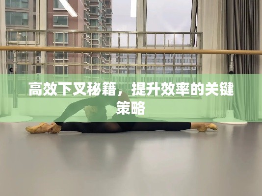 2025年5月17日 第5页