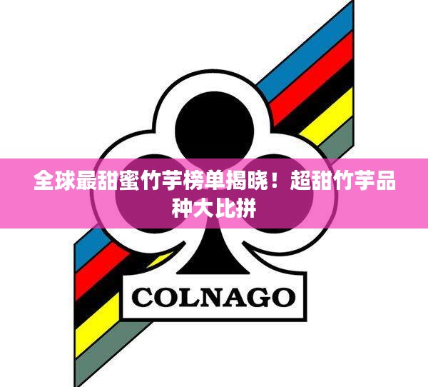 衣不兼彩 第2页