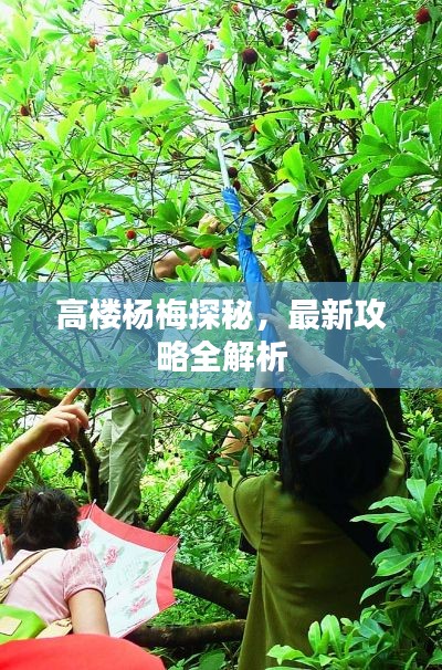 刺股读书 第2页
