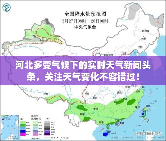 百不得一 第2页