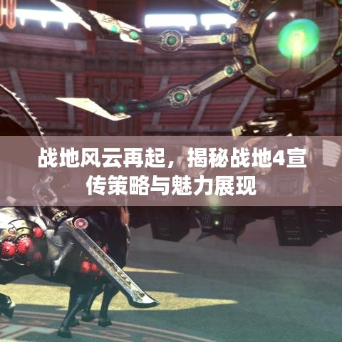 衣不重彩 第2页
